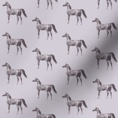 Arabian Horse on Smokey Grey, Small