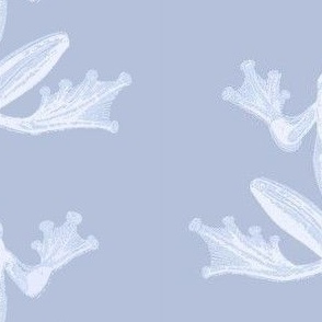 Vintage looking Frog Illustration in Monochromatic Blue Grays