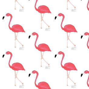 flamingosinfondo