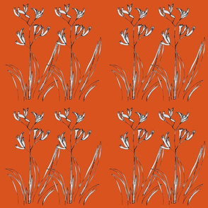 Double Kangaroo Paw Orange - Large