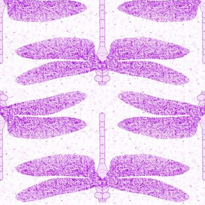 dragonfly lilac