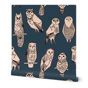 owl // blush and navy hand-drawn illustration bird owl by Andrea Lauren