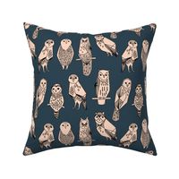 owl // blush and navy hand-drawn illustration bird owl by Andrea Lauren