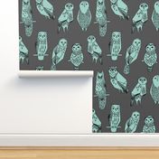 owls // grey and mint charcoal baby nursery hand-drawn illustration by Andrea Lauren