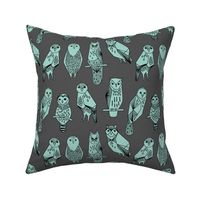 owls // grey and mint charcoal baby nursery hand-drawn illustration by Andrea Lauren