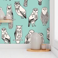 owl // hand-drawn bird illustration featuring hand-drawn illustration by Andrea Lauren mint and cream