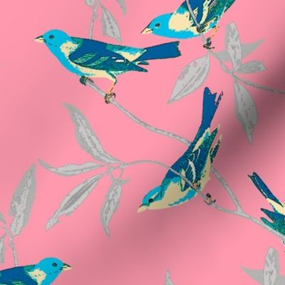 Blue Birds on Coral