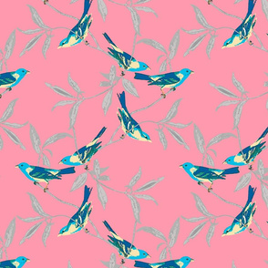 Blue Birds on Coral