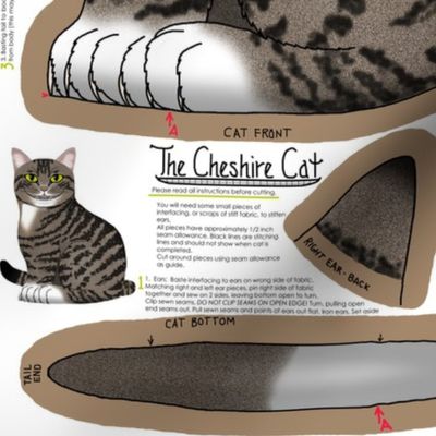 The Cheshire Cat kit