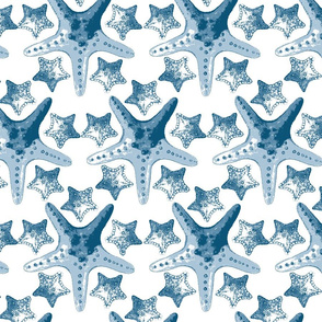 royaltystarfishpattern