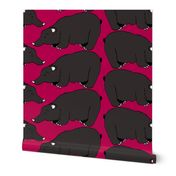 Black Bear on Strawberry Red