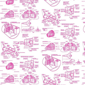 space shuttle pink