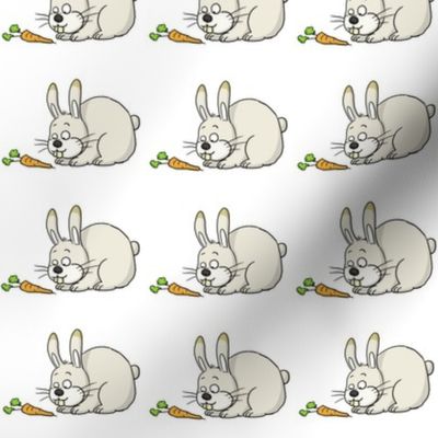 rabbit and carrot 