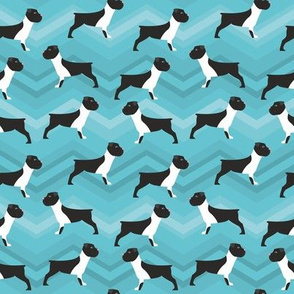 Bulldogs pattern