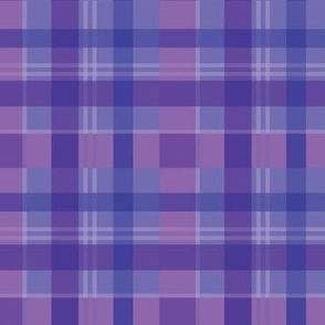 Purple Plaid