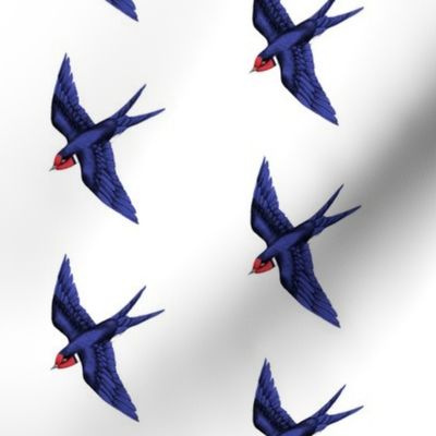 Swift Swallow