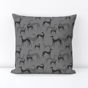 Sighthound grey