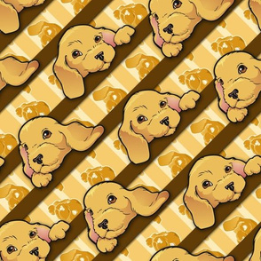 Golden puppies