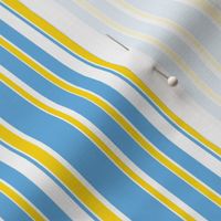 Yellow and Blue Stripe