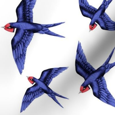 Swallow Bird in a Flock