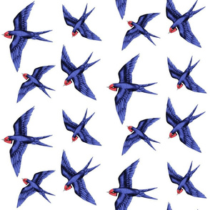 Swallow Bird in a Flock