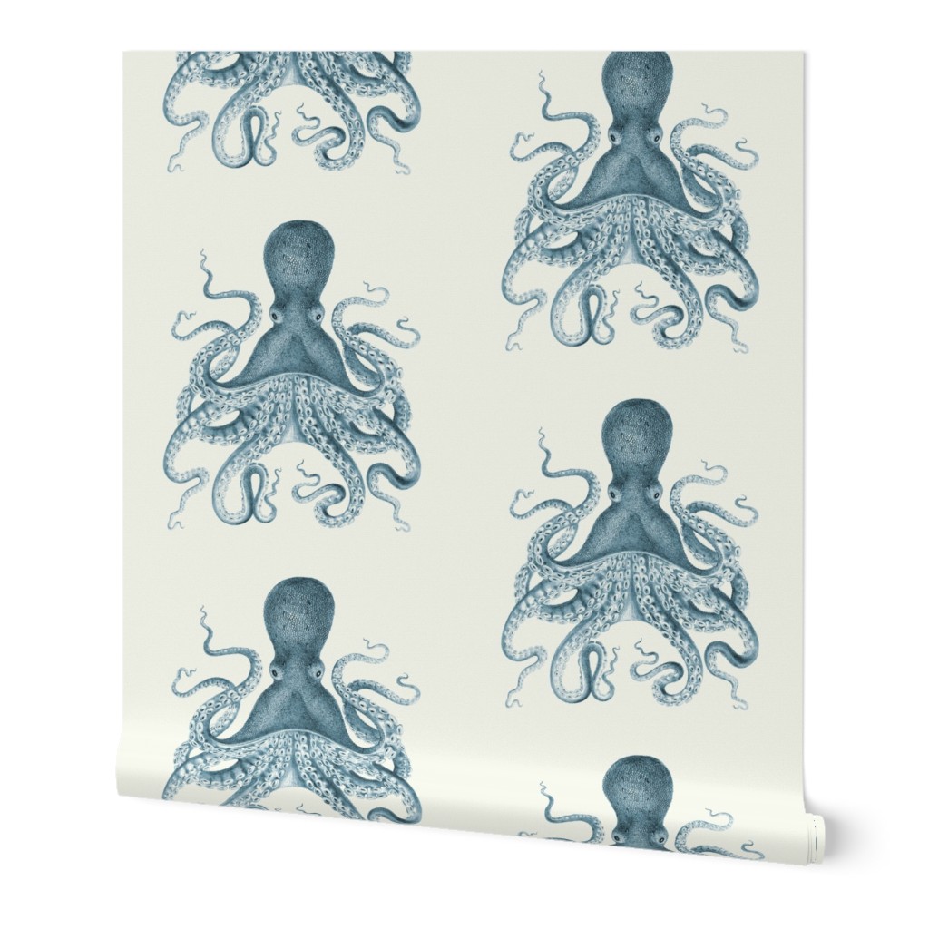 Octopus in Sea