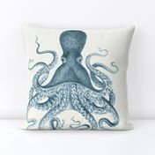 Octopus in Sea