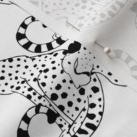 Black and White Cheetahs
