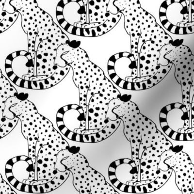 Black and White Cheetahs