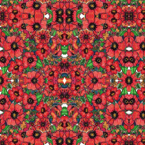 Kaleidoscope of Poppies
