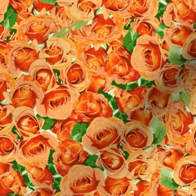 Abundant Roses - Dark Apricot