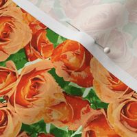 Abundant Roses - Dark Apricot