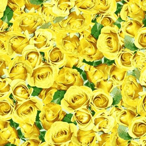 Abundant Roses -  Yellow