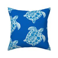 Loggerhead Sea Turtle the blues