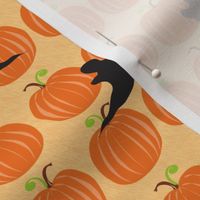 Paper Cut-out Pumpkin Patch #1