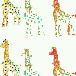 PC_3_Giraffes