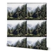 Yosemite Trees and Mountains Photo Pillow