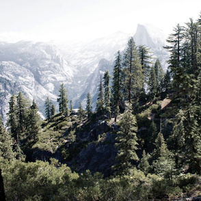 Yosemite Trees and Mountains Photo Pillow