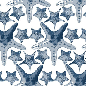 royaltyfinalstarfishpattern2