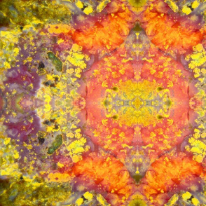 jasper-kaleidoscope-2013a-12mg-print