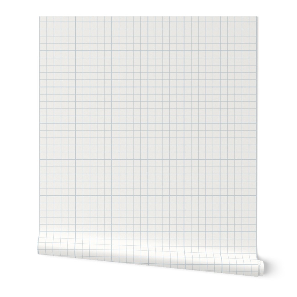 Graph Paper Check