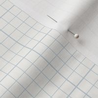 Graph Paper Check