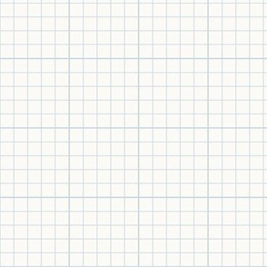 Graph Paper Check