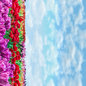 Tulip Field Border Print