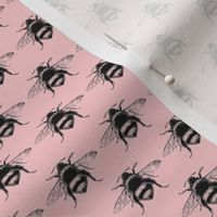 Bumble Bee-pink