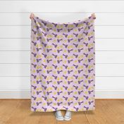 Zooming Flyball dogs - lavender