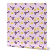 Zooming Flyball dogs - lavender