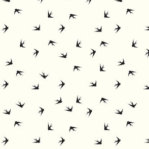 Flight of the swallows