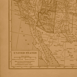 Sepia Vintage Map of  the United States