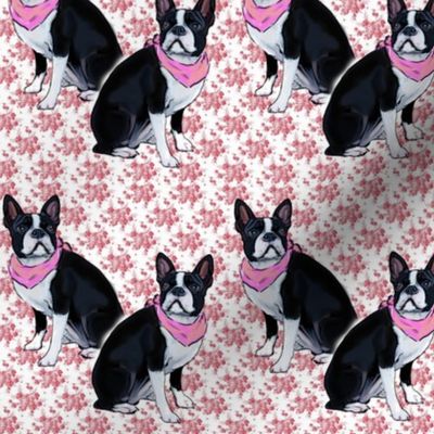 Boston Terrier Pink